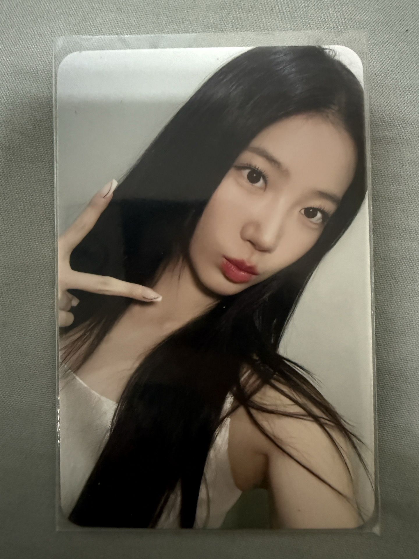 unforgiven bg簽售 葉