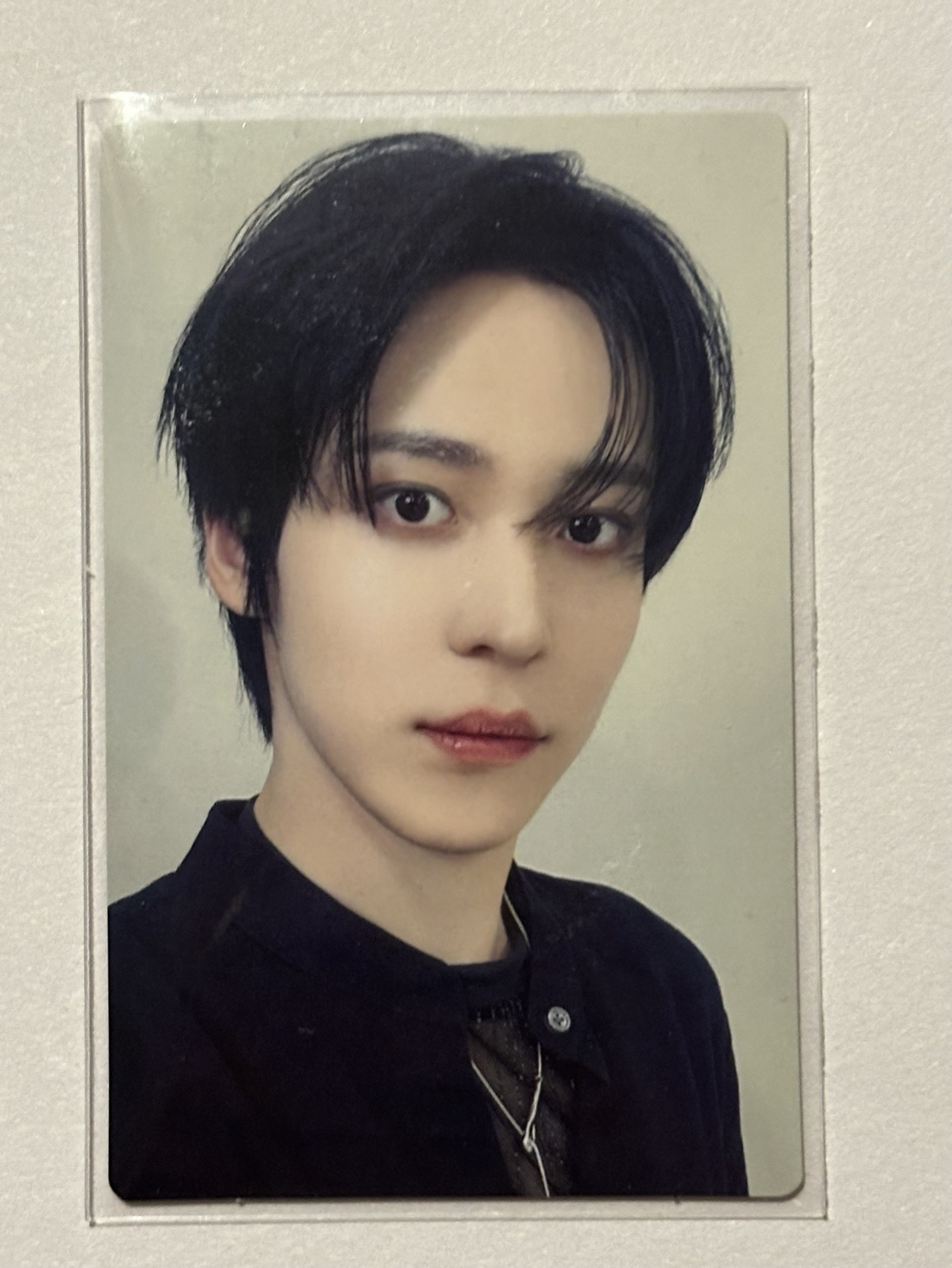 Ashes to Light 專輯卡 Flash Price