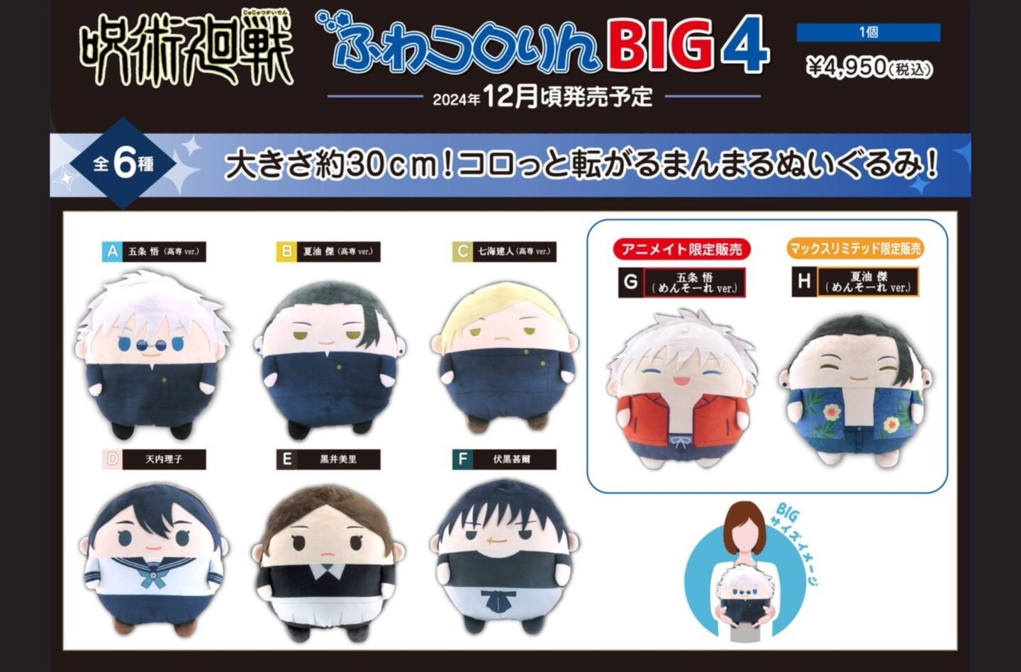 ふわコロりんBIG 4