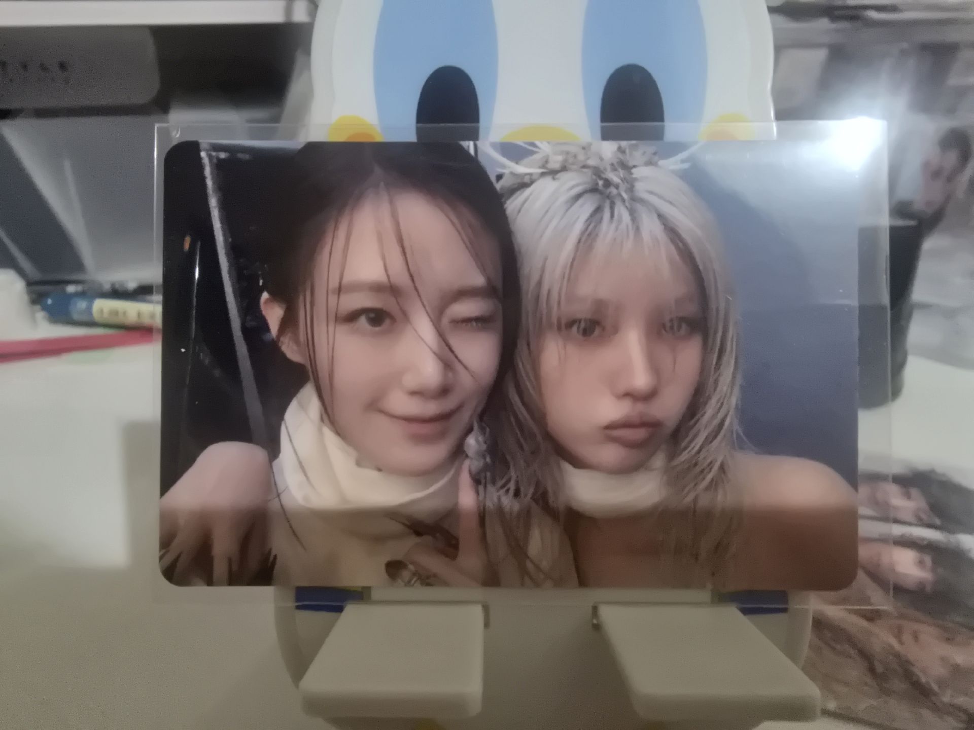 WE ARE隨機卡包- 團卡刷娟