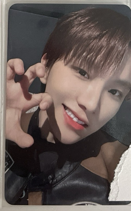 🚪虎爪🐻（非現）