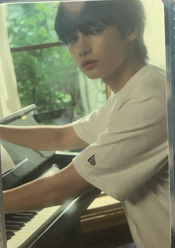 迷七BN寧