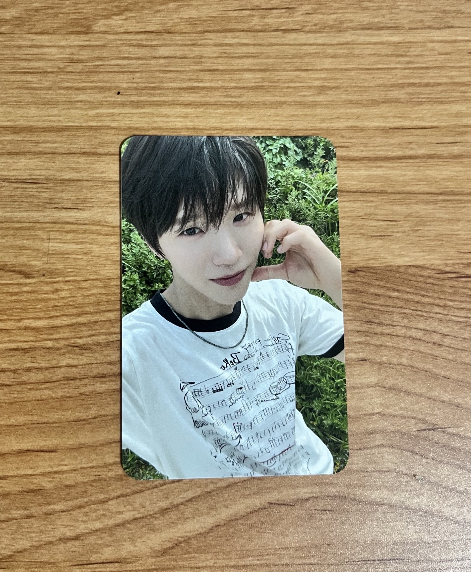 NCTwish color 小樹 sw特典