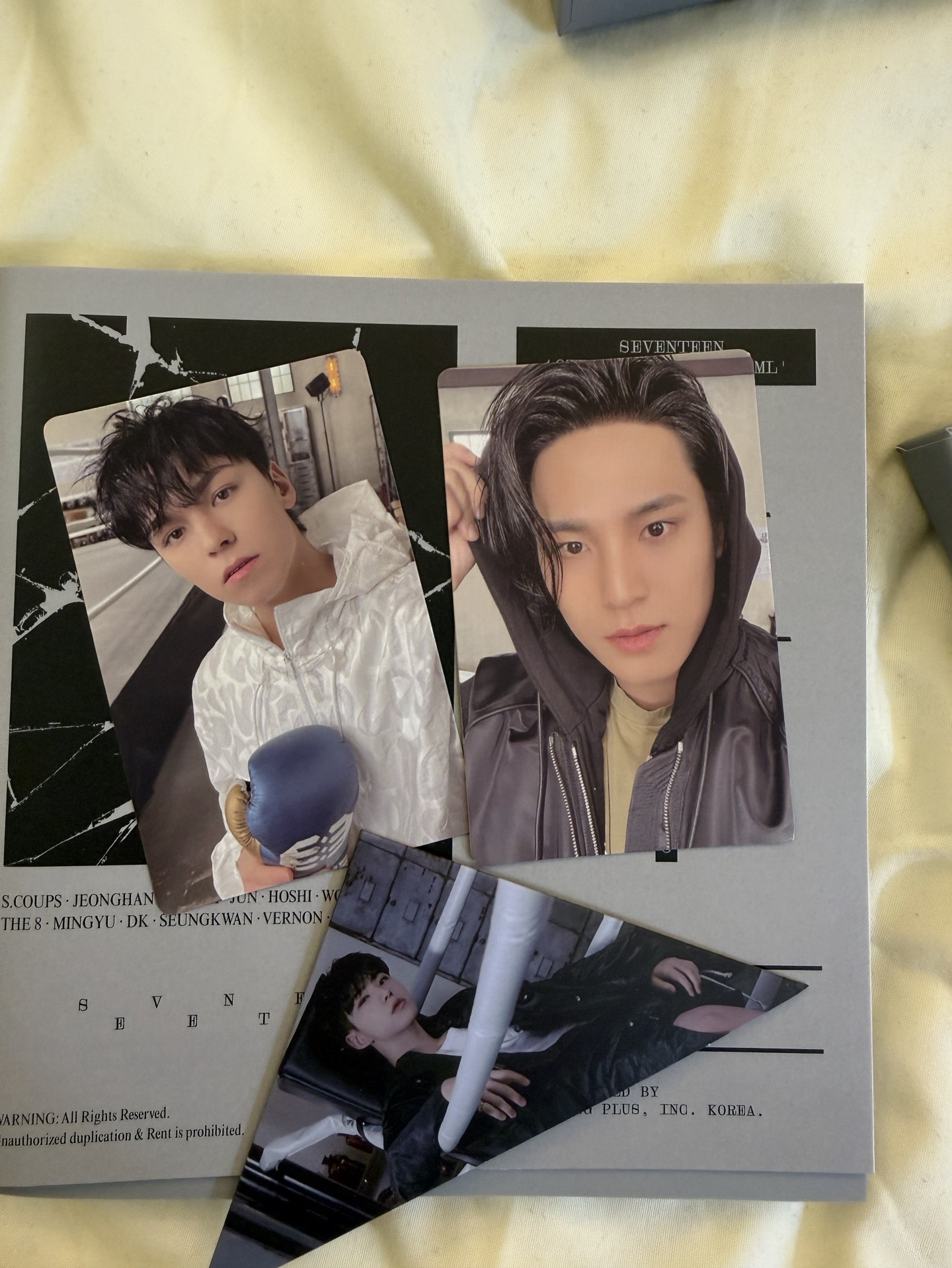 SVT 迷十 FML 全專