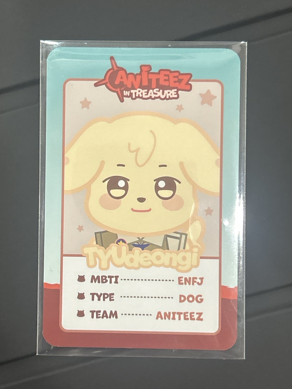 ANITEEZ IN TREASURE卡包卡（TYUdeongi）