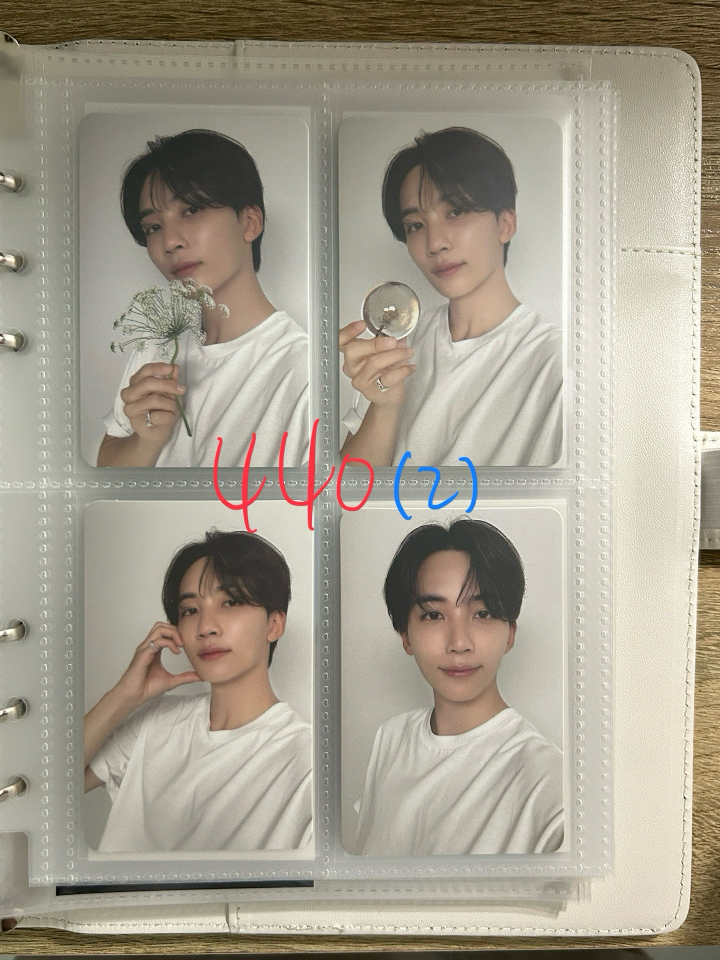 多哲漢 紅字1:1帶藍 黃可單帶