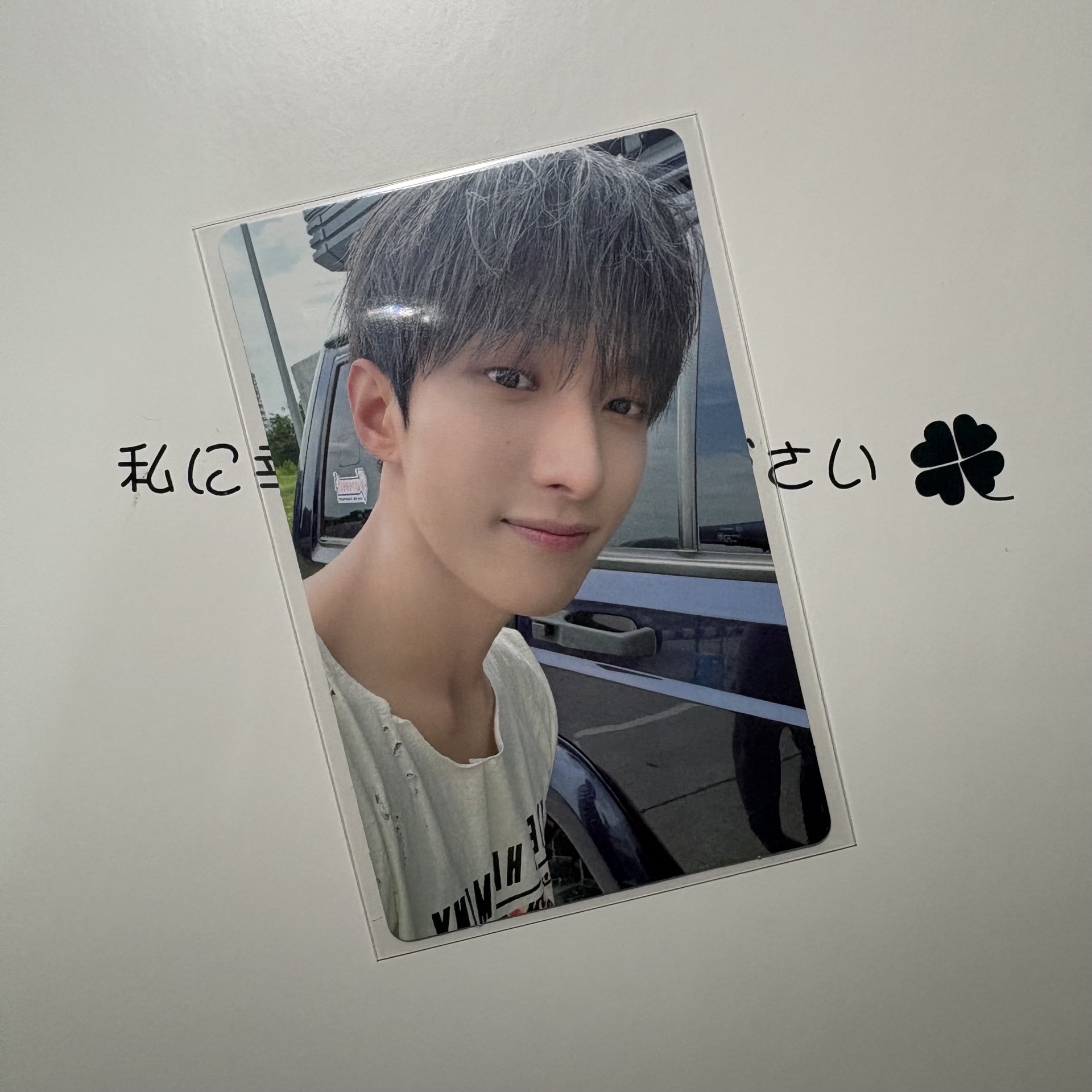 碩｜迷12 wvs 幸運卡