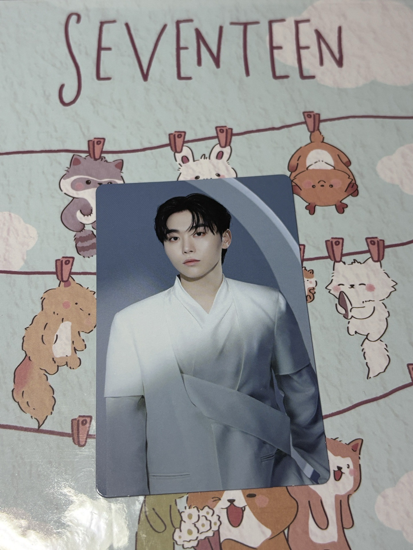 🤍new_ 卡包卡 隨機卡 寛🍊