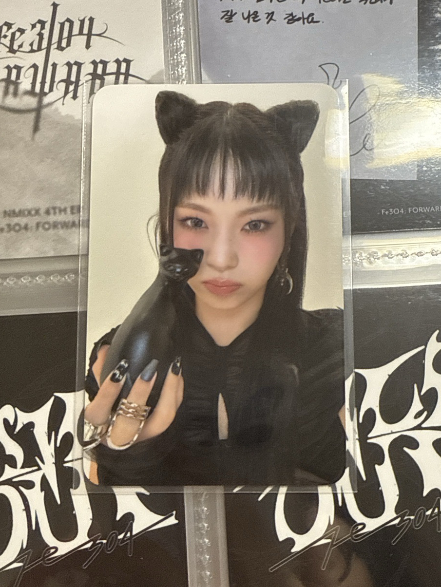 小貓綁著貓貓頭舉著貓貓拍照