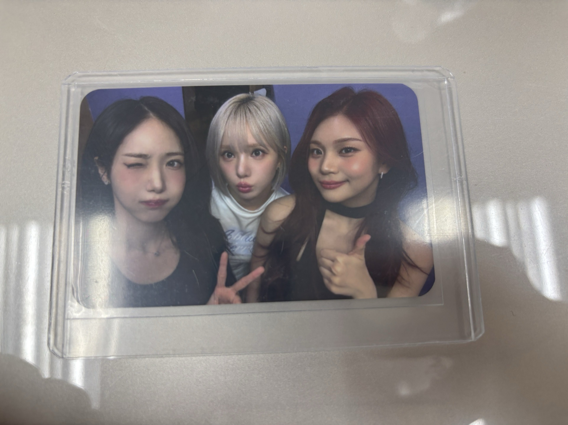 25世巡 入場卡 / 場限卡