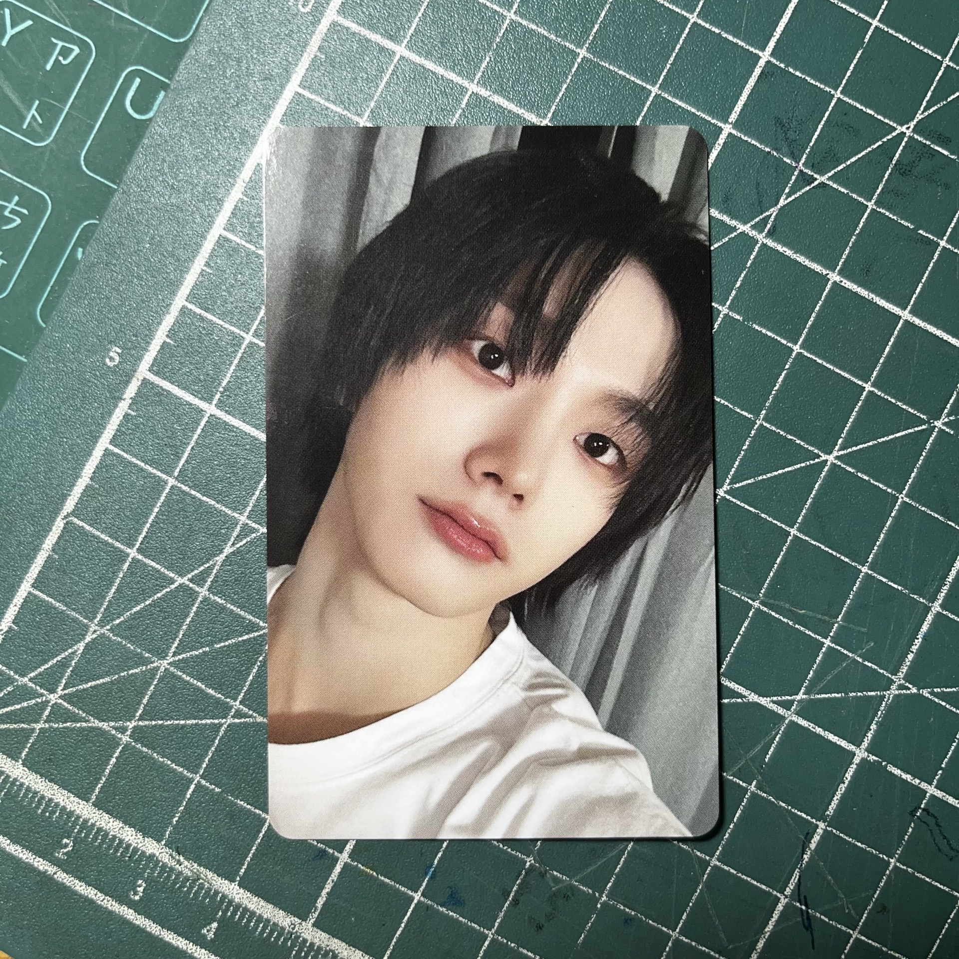 ❣️朴成淏 HOW? WVS LD 抽選卡