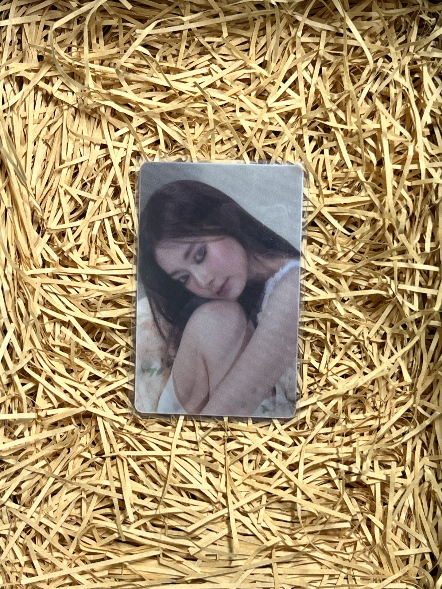 瑜solo-2（背損）