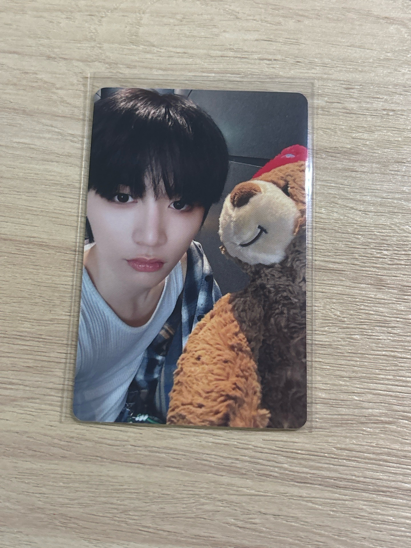 一直娛特典 抱熊 泰山