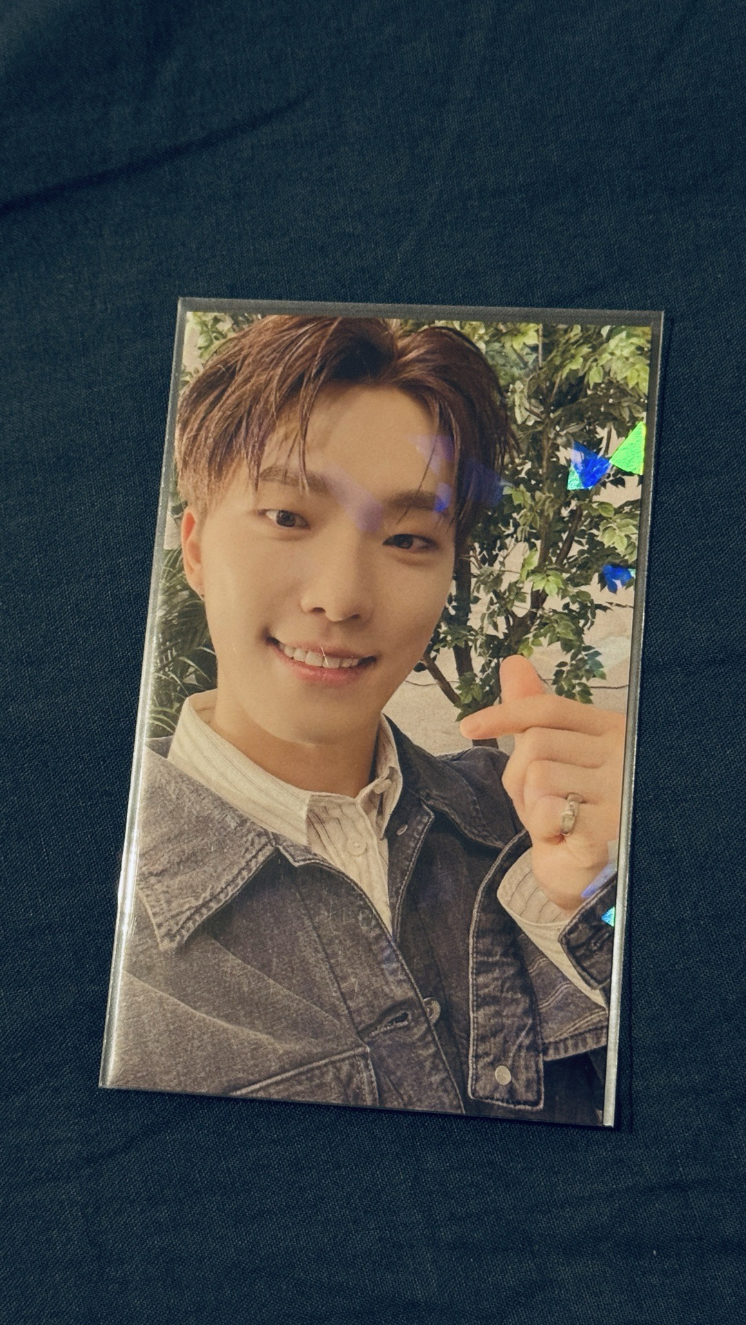 DINO 消費期限 環球JP特典