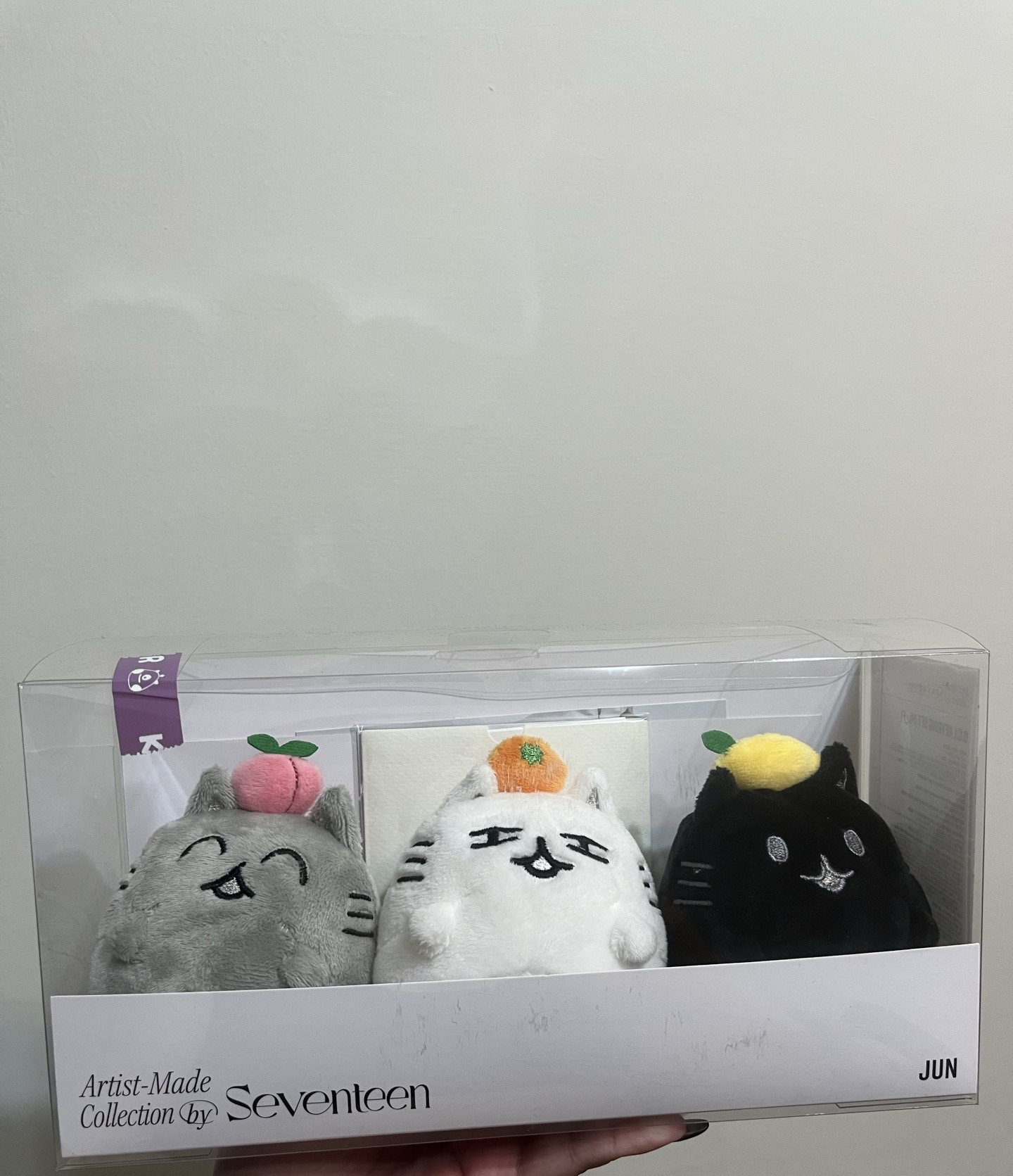 俊自製周邊-開關鎖門三兄弟