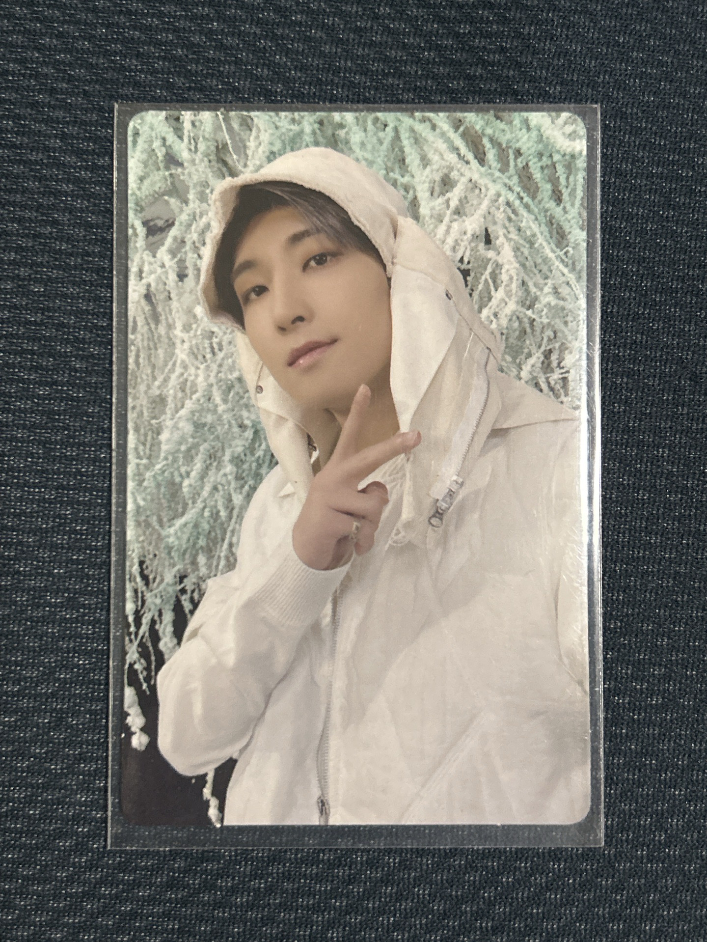 正四後續藍版 專輯卡｜ 圓佑