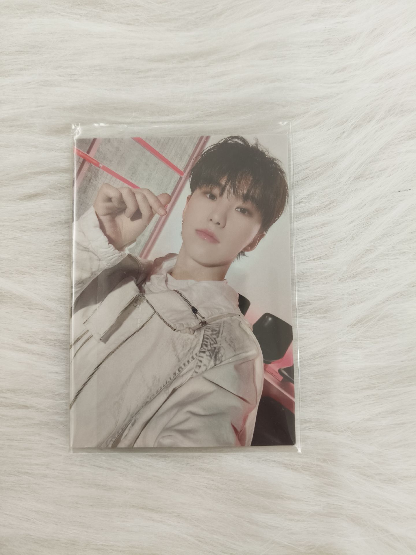 HOSHI Follow again外套卡