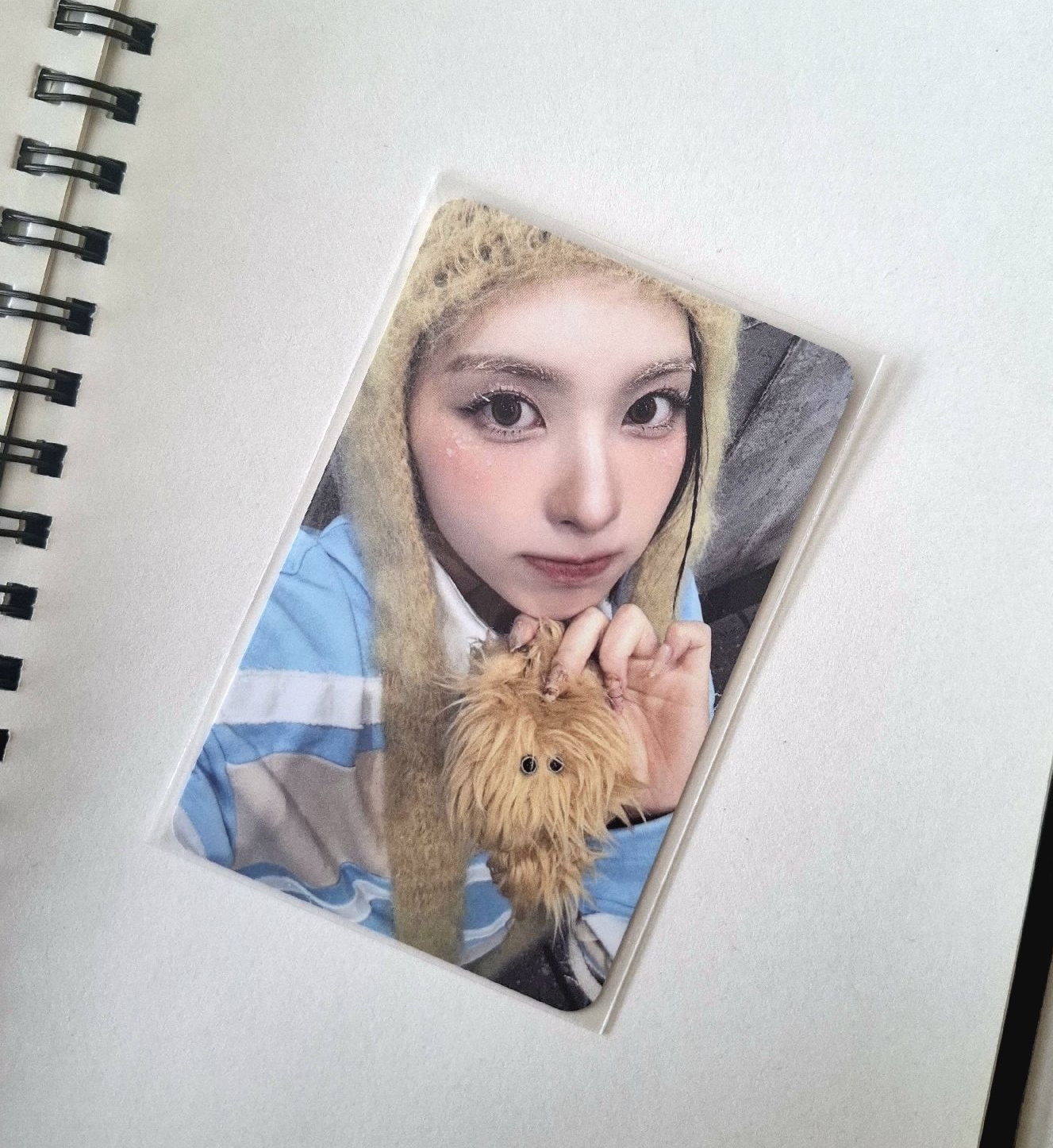 裴 彩版水母專卡