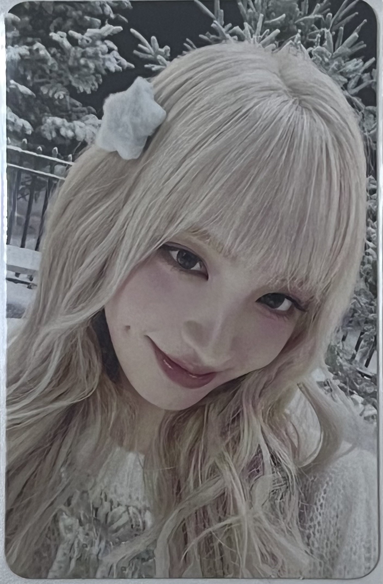 IVE 特別版船特栗