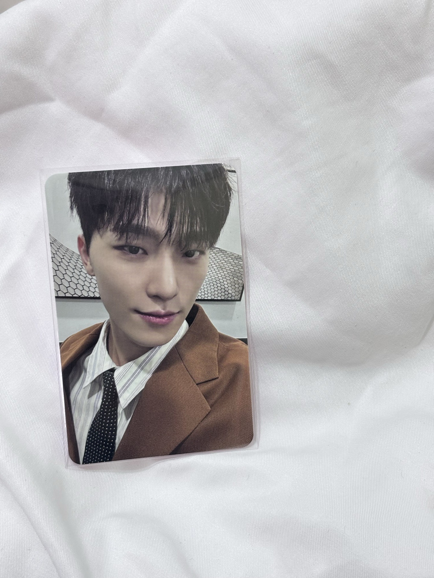 💚迷12克拉盤-燦