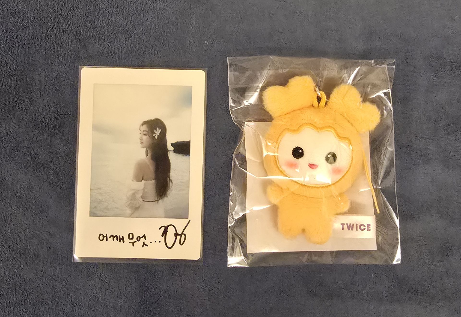 TWICE 志效 夜舞花絮 豆豆眼娃