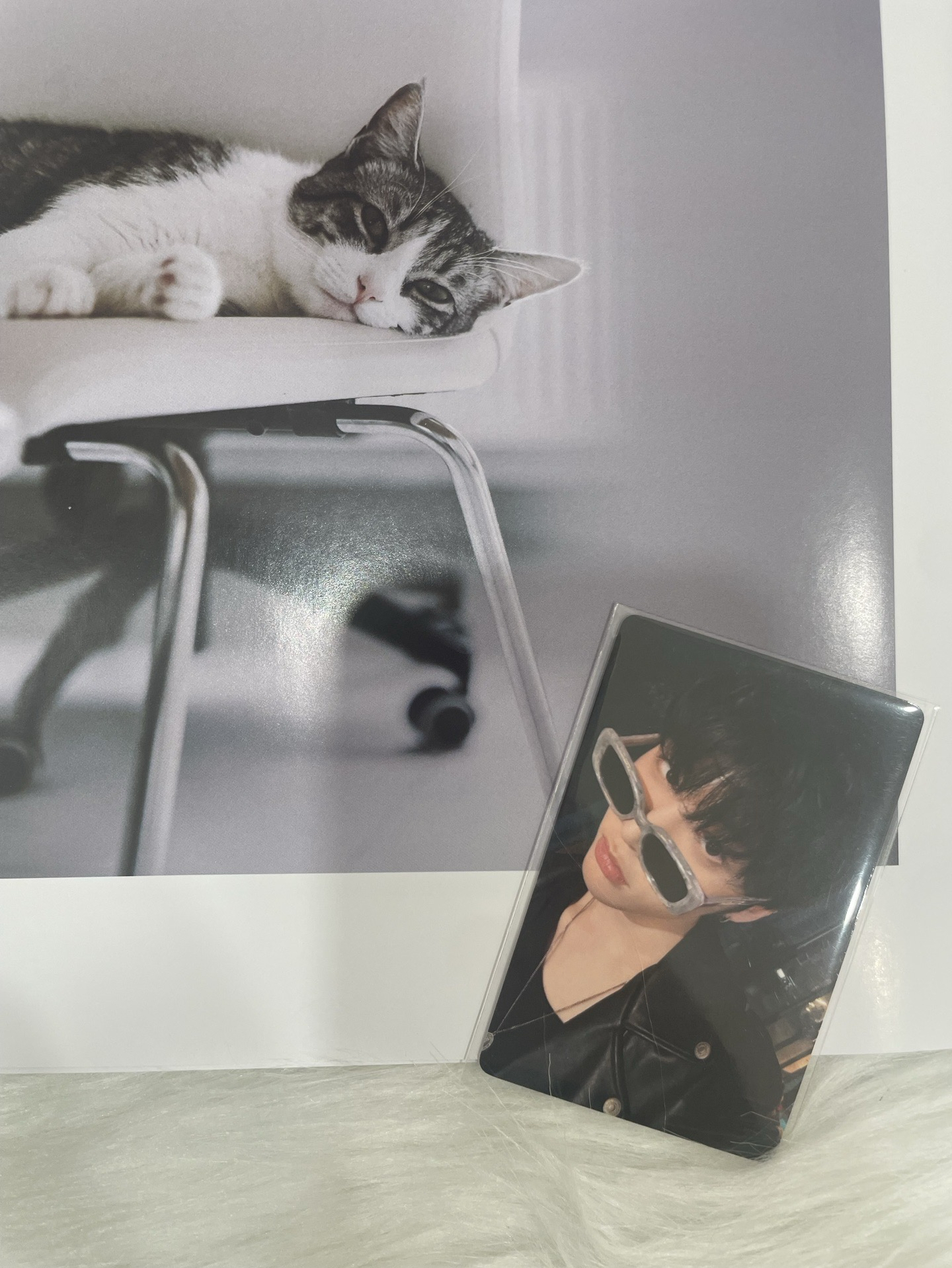 【BND】🐈‍⬛19.99 yzy3.0