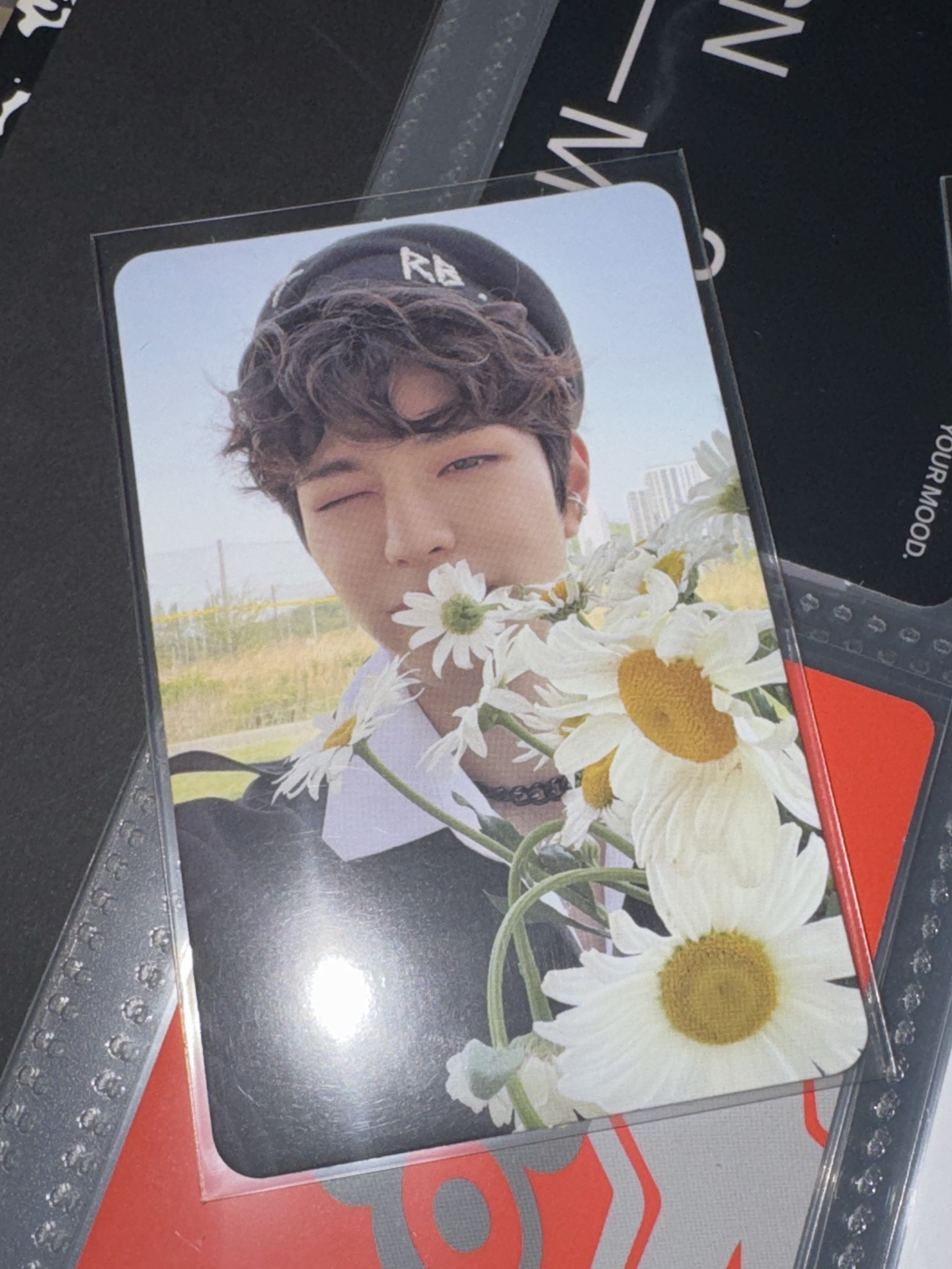 stray kids maxident 金昇玟 專卡