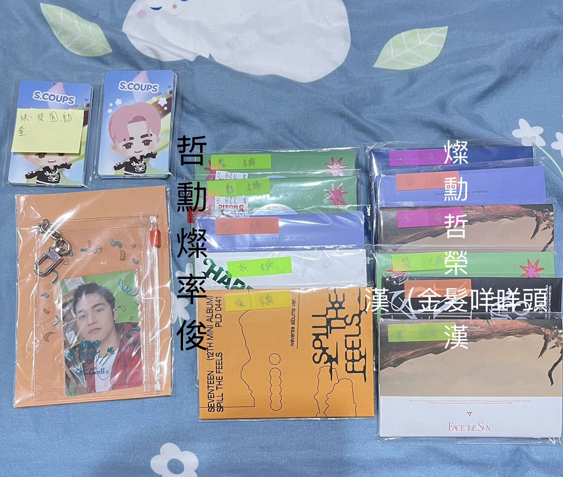 WVS電子專、遊戲卡、奎卡套