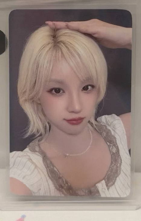 預購｜el5摸頭琦