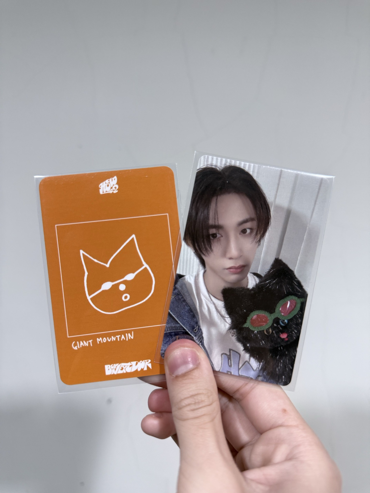 泰山（需多帶）