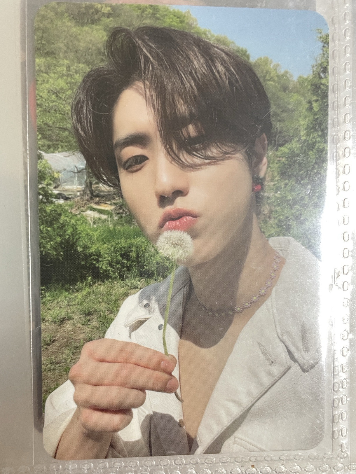 Felix Han Maxident pb專卡