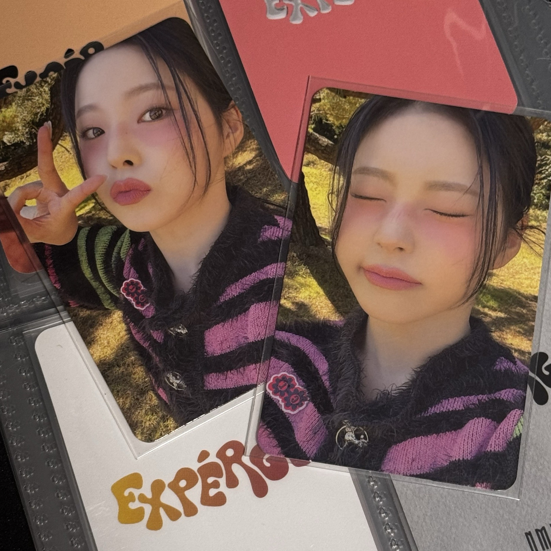 expérgo ms2.0 特典卡 + 普版B 專卡