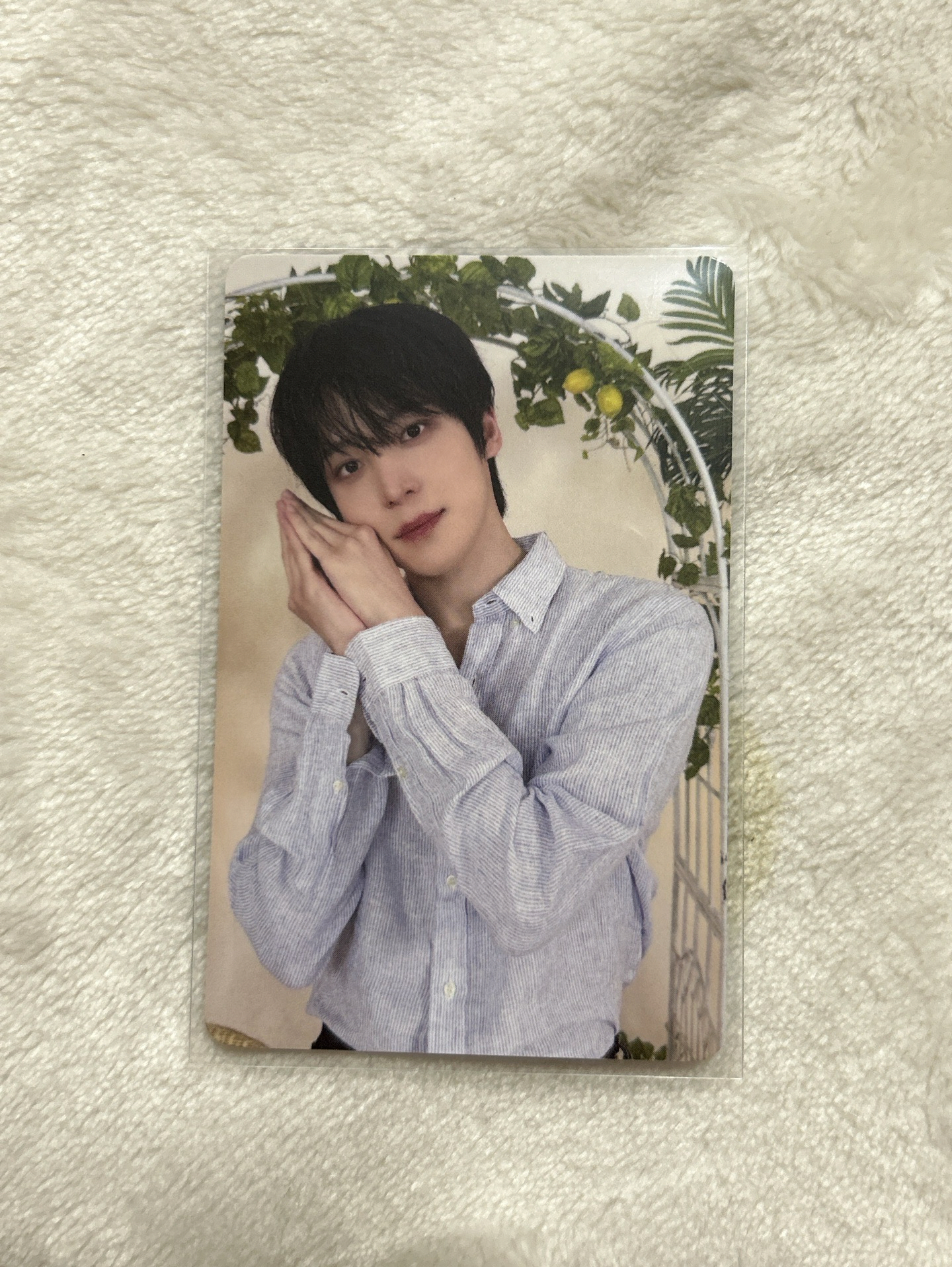 ATEEZ｜丁潤浩 MIGHTEEZ 滿額卡 五萬