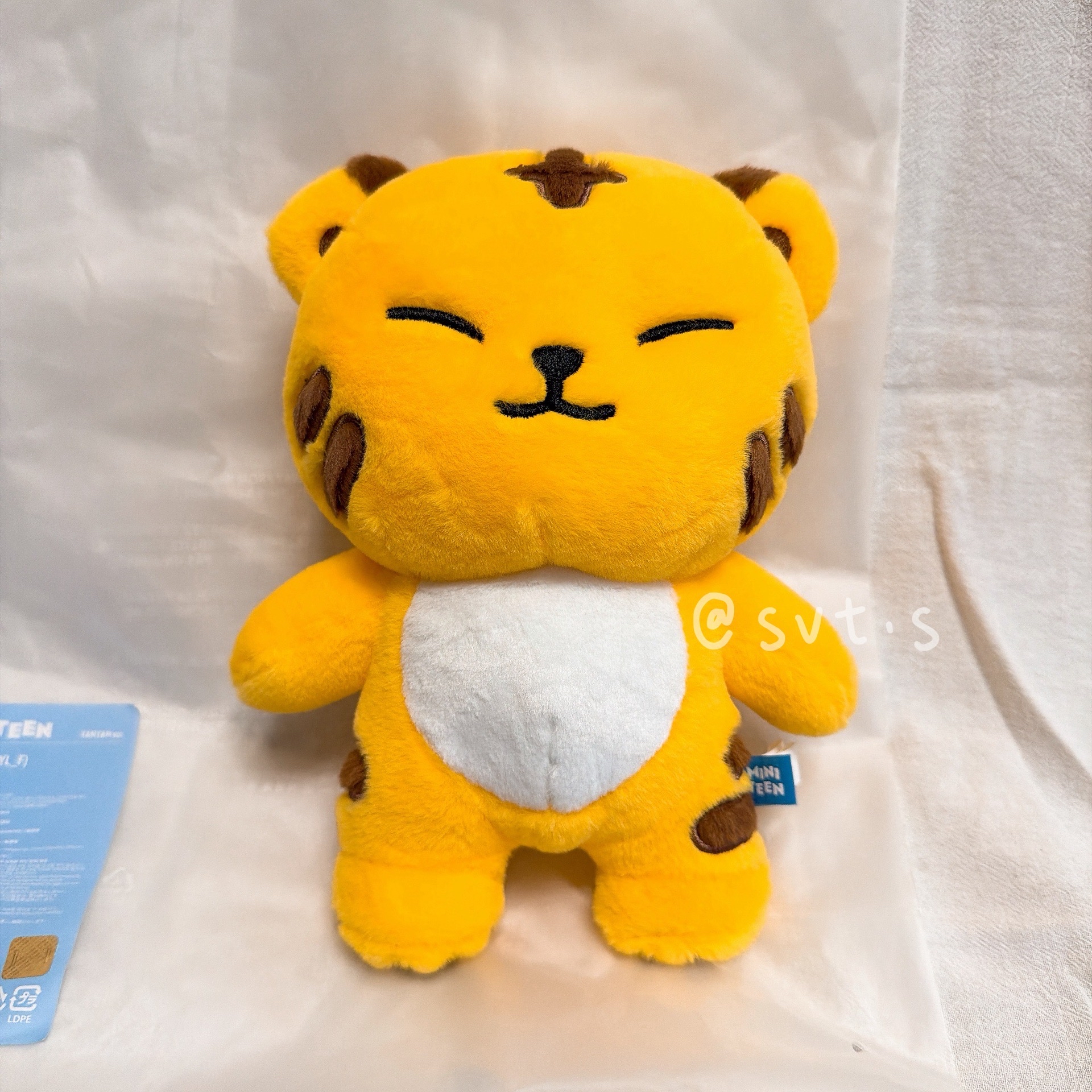 全新 SEVENTEEN MINITEEN 站姿娃娃 TAM TAM 馬尼拉快閃店購入