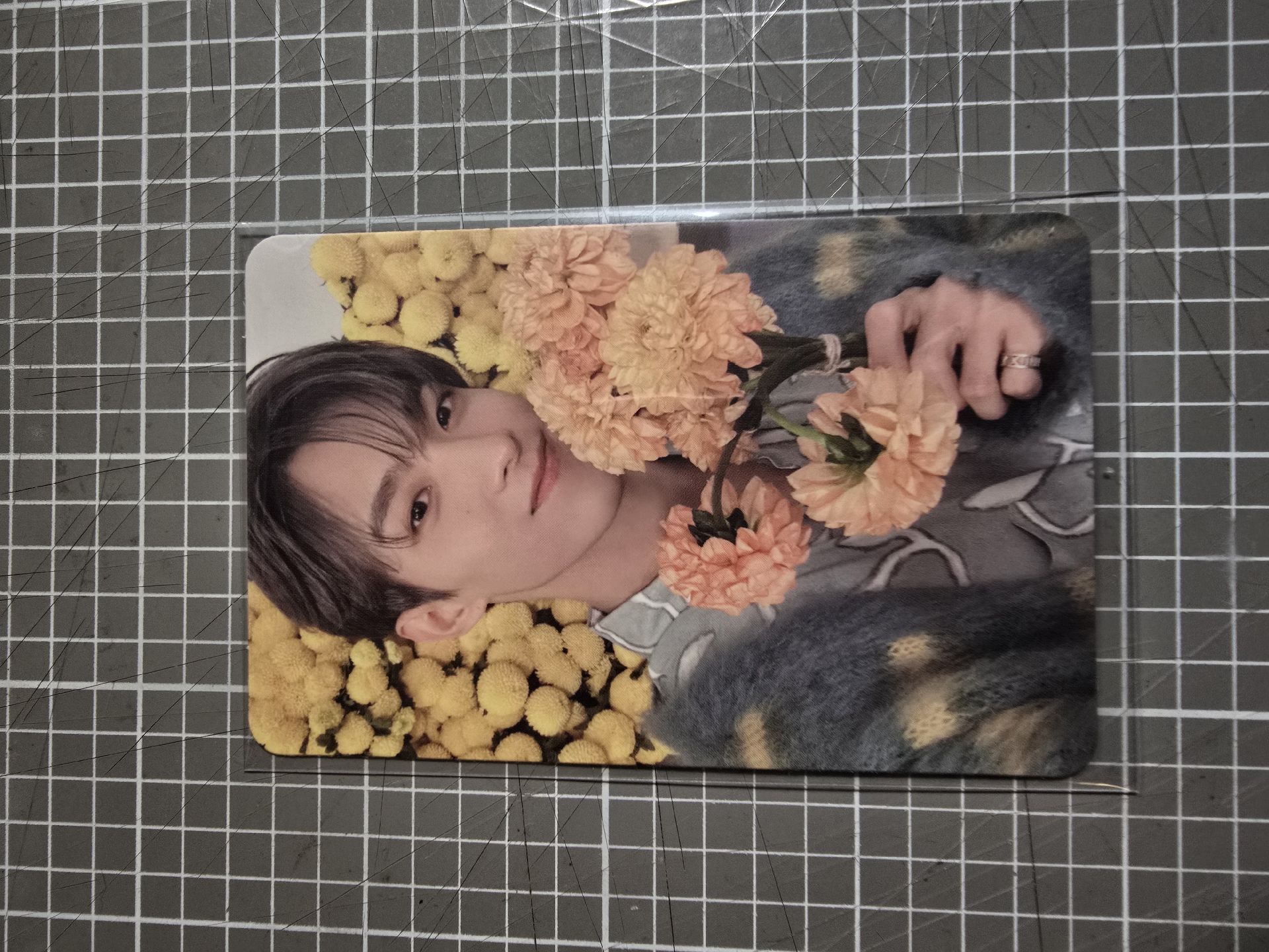 💜迷八專卡-捧花碩（30）