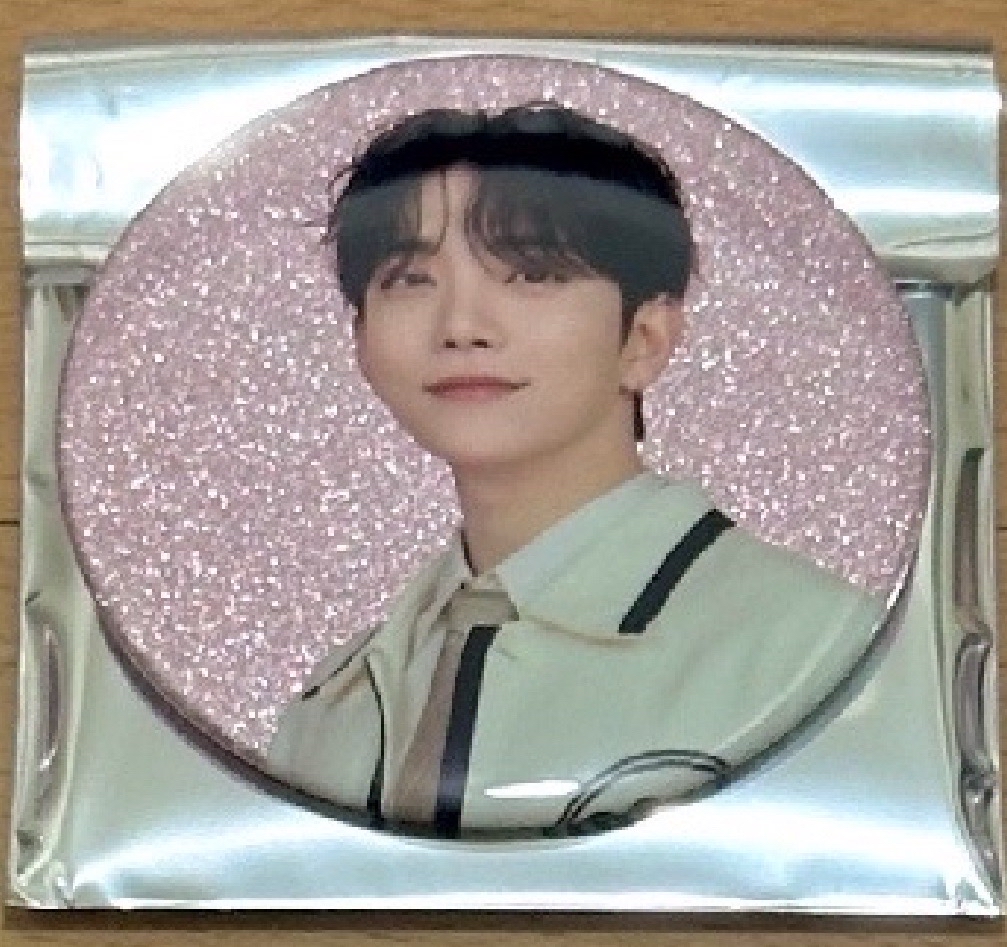 🌟holiday 徽章 洪知秀 seventeen 周邊