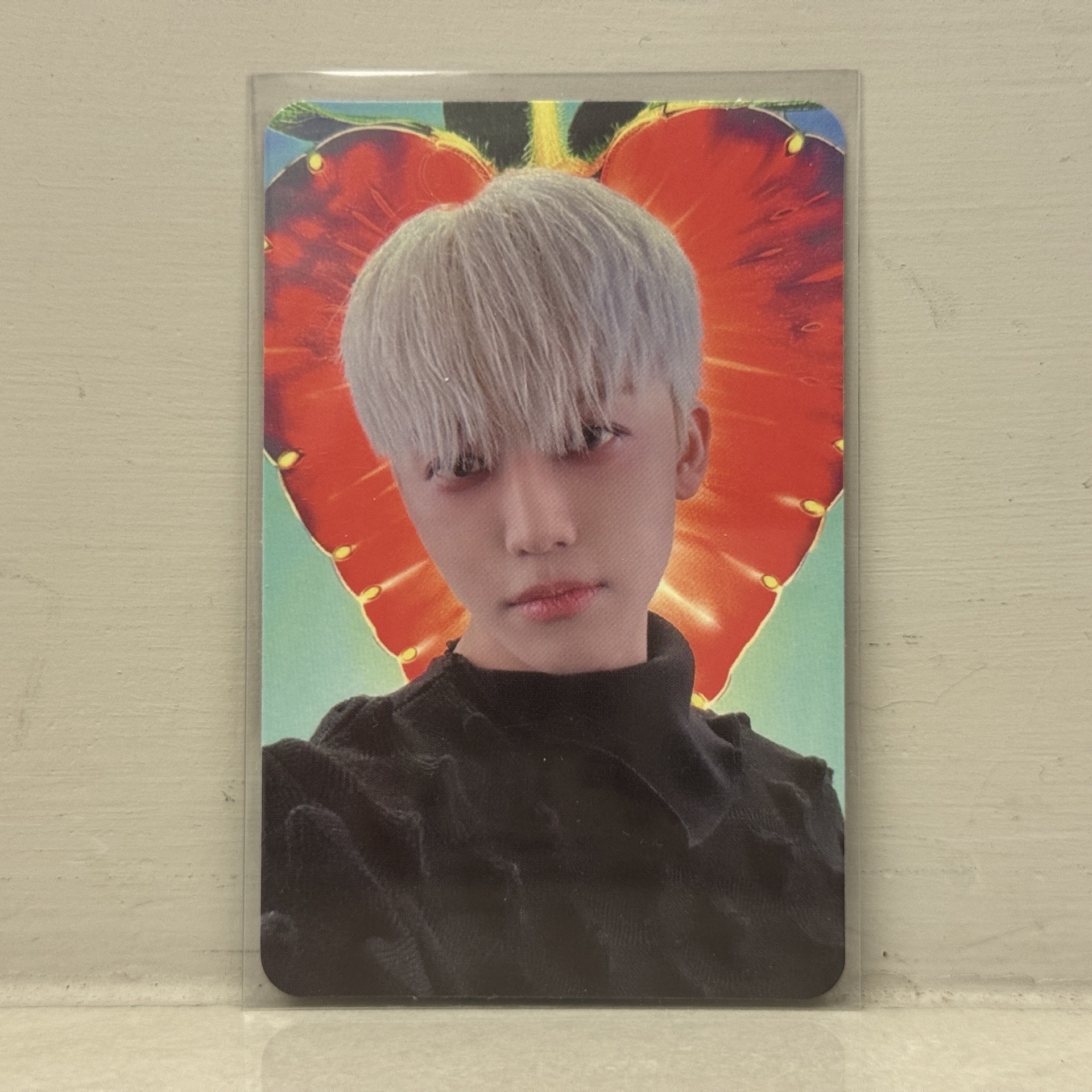 NCT DREAM 專卡 台灣簽售卡