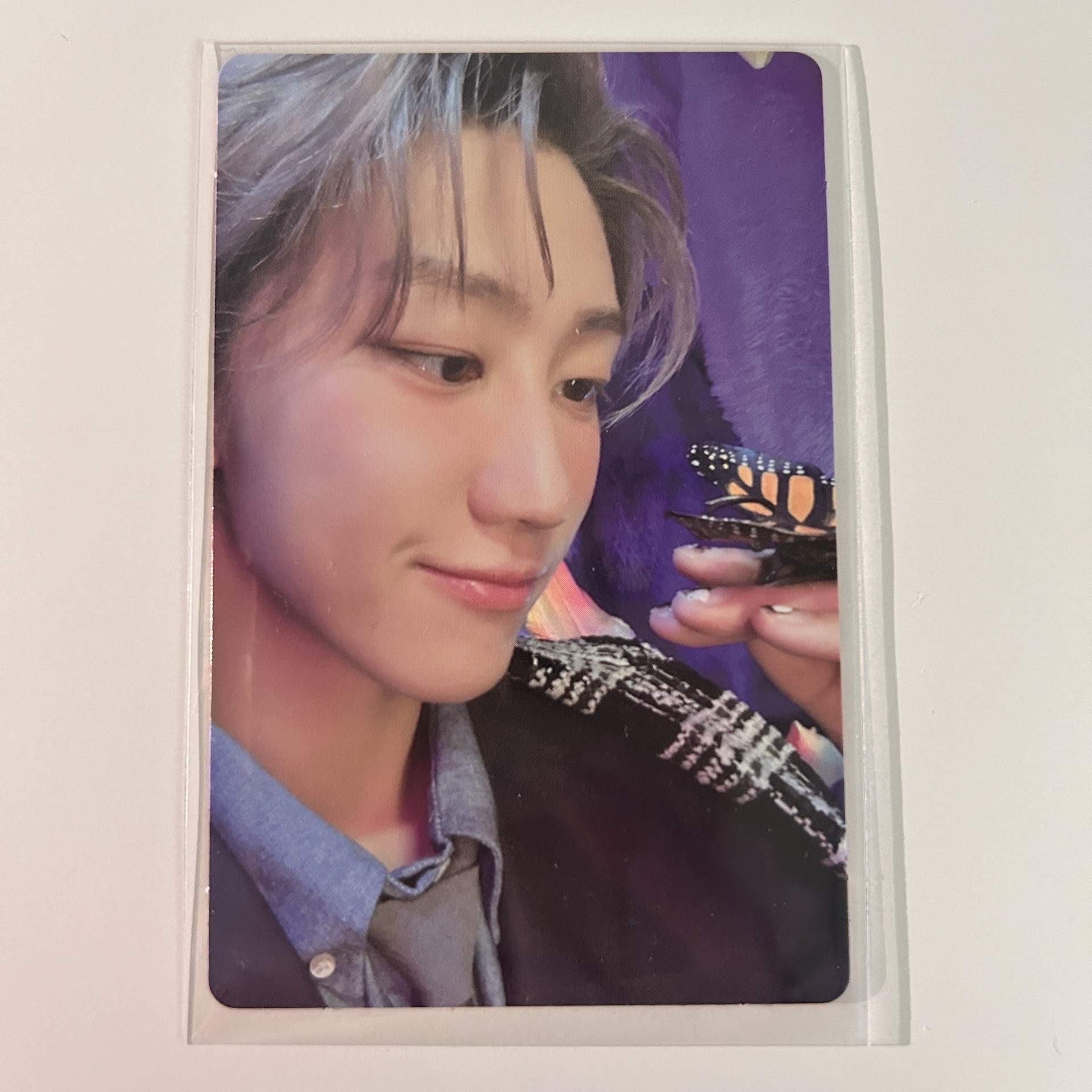 ‎꒰ঌ精選專 專輯卡 八໒꒱