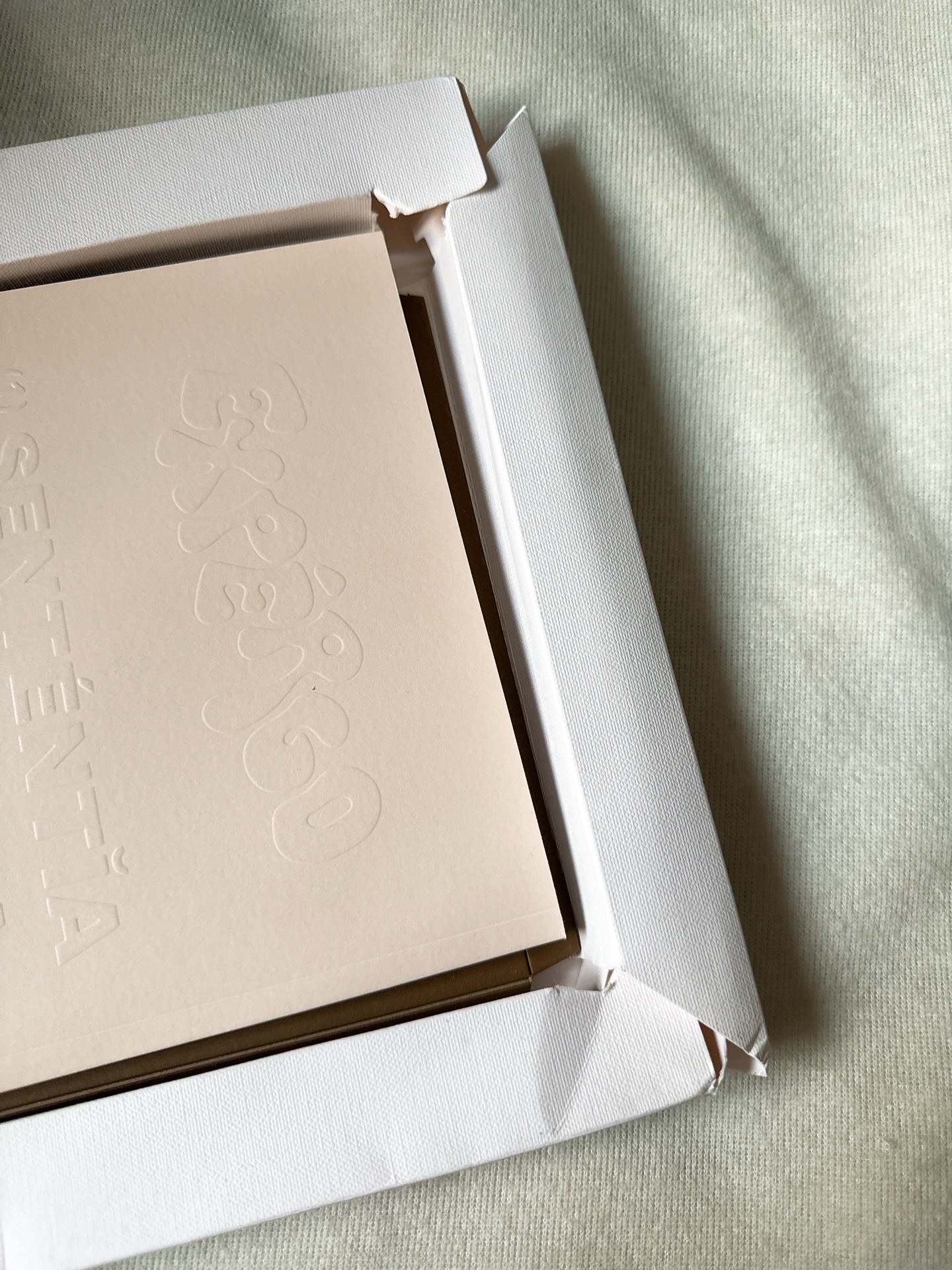 Nmixx 油畫空專 海嫄 Lily