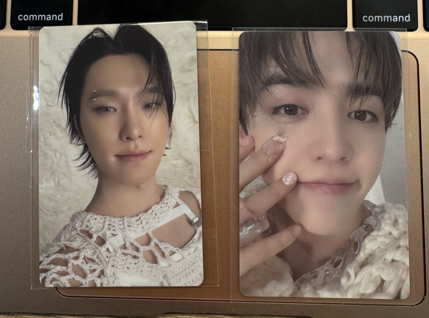 正五 wvs 哲燦特典卡