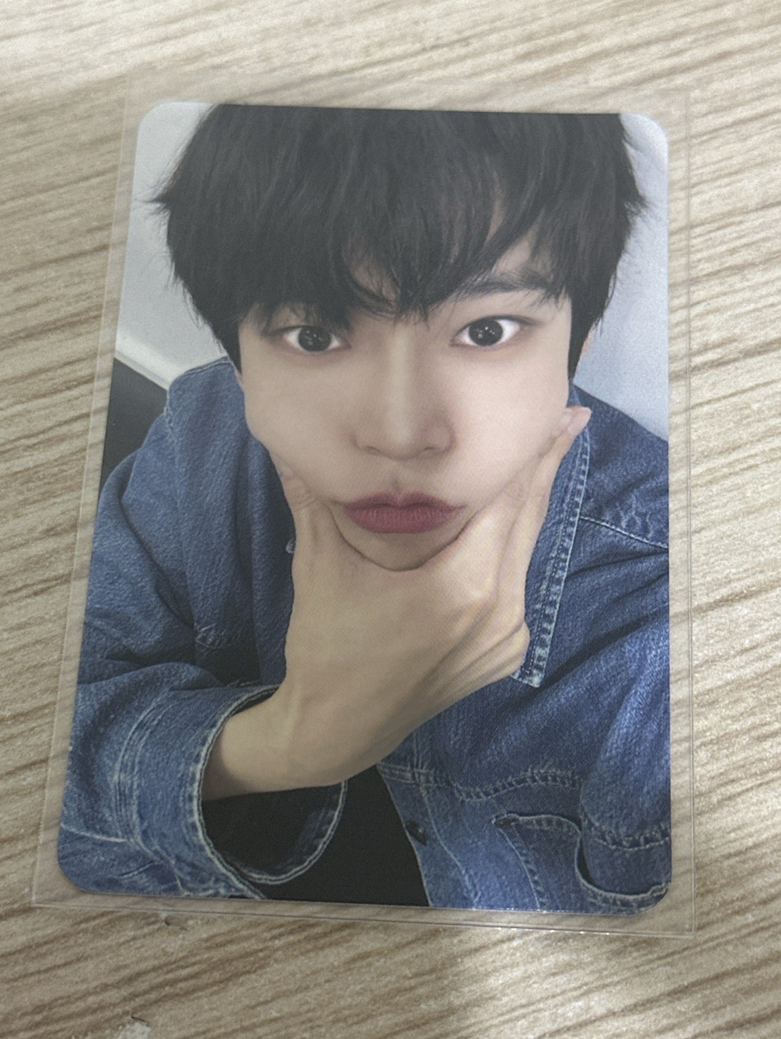 金道英專輯小卡