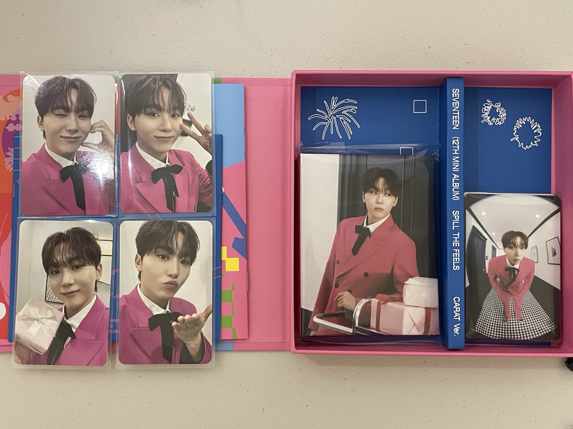 SEVENTEEN 迷你12 克拉盤 勝寛全專