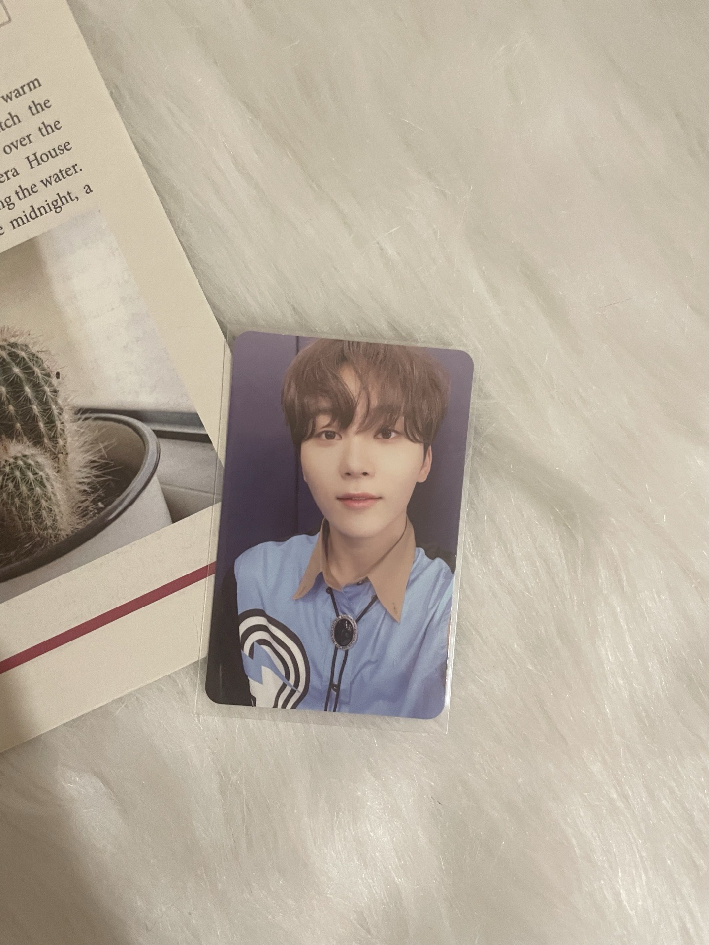 【SVT】mini7專輯卡