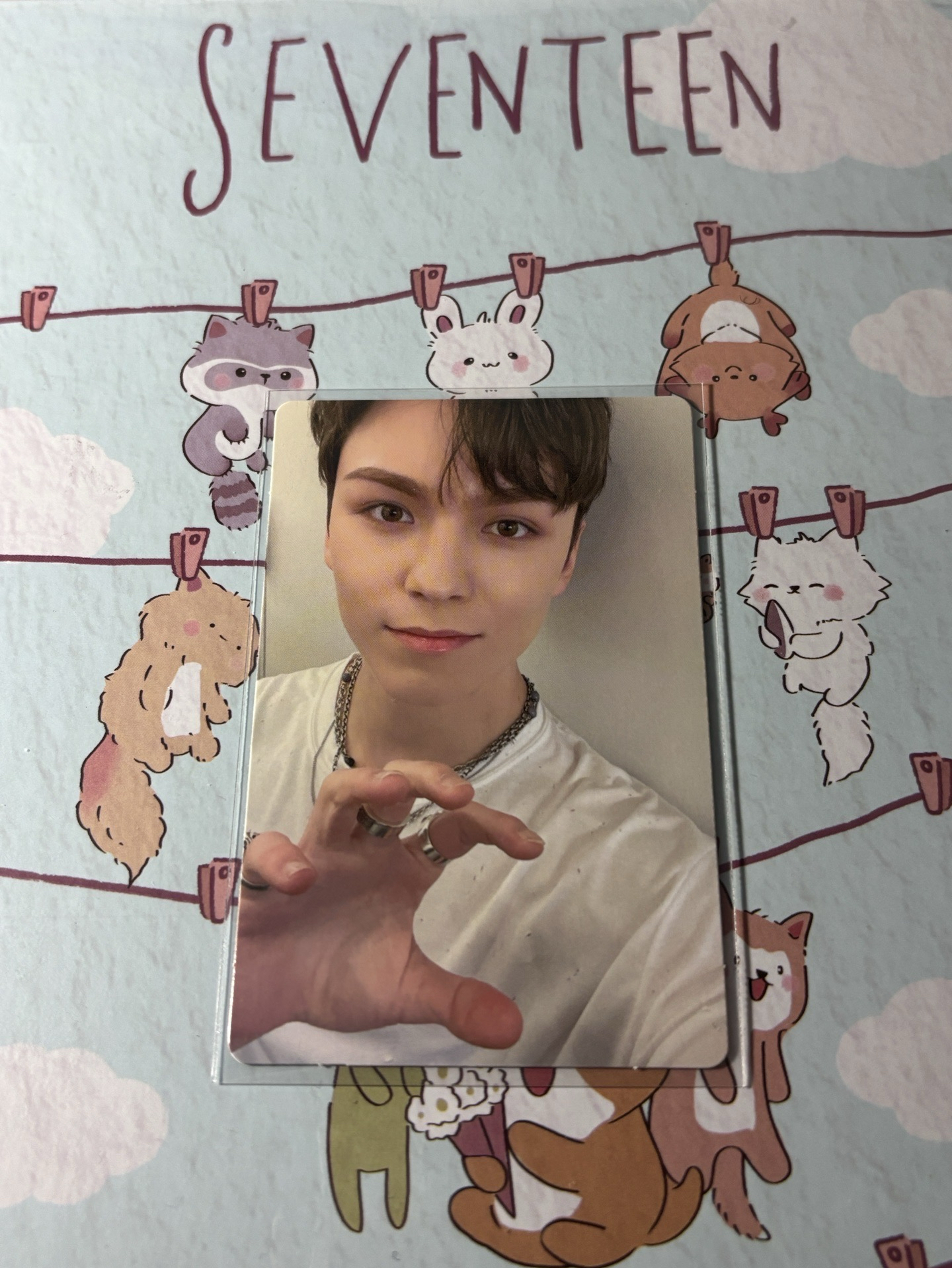 🤍正四 專卡 克拉盤 carat ver. 率