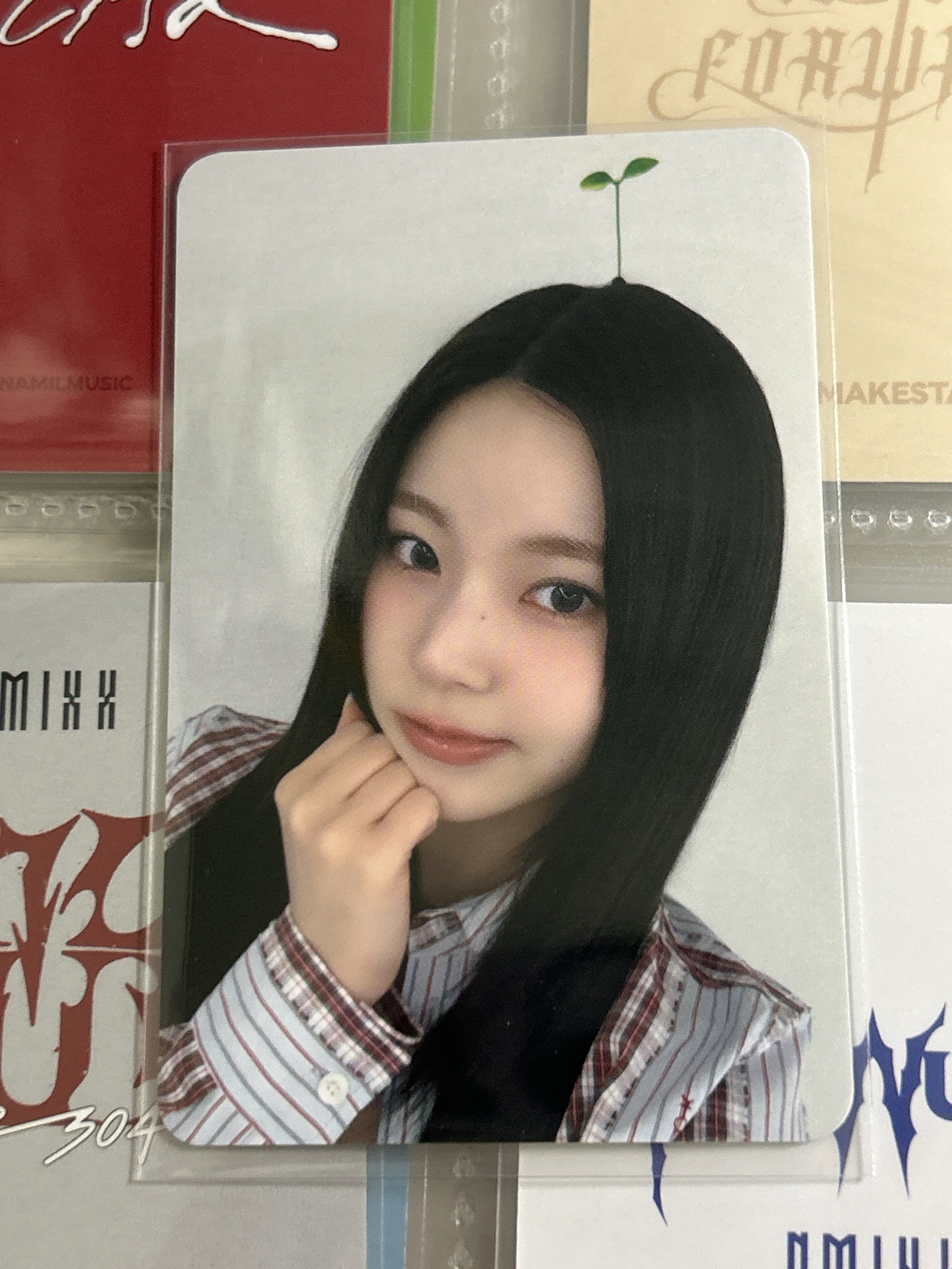 ✅NMIXX ms幼苗圭