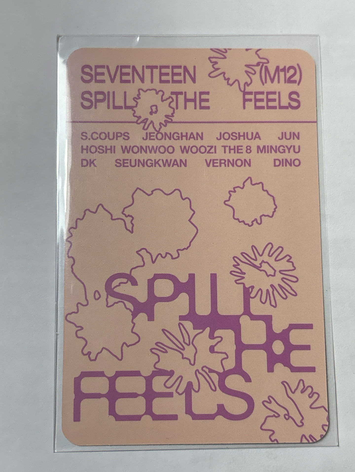 碩 迷十二 專輯隨機卡