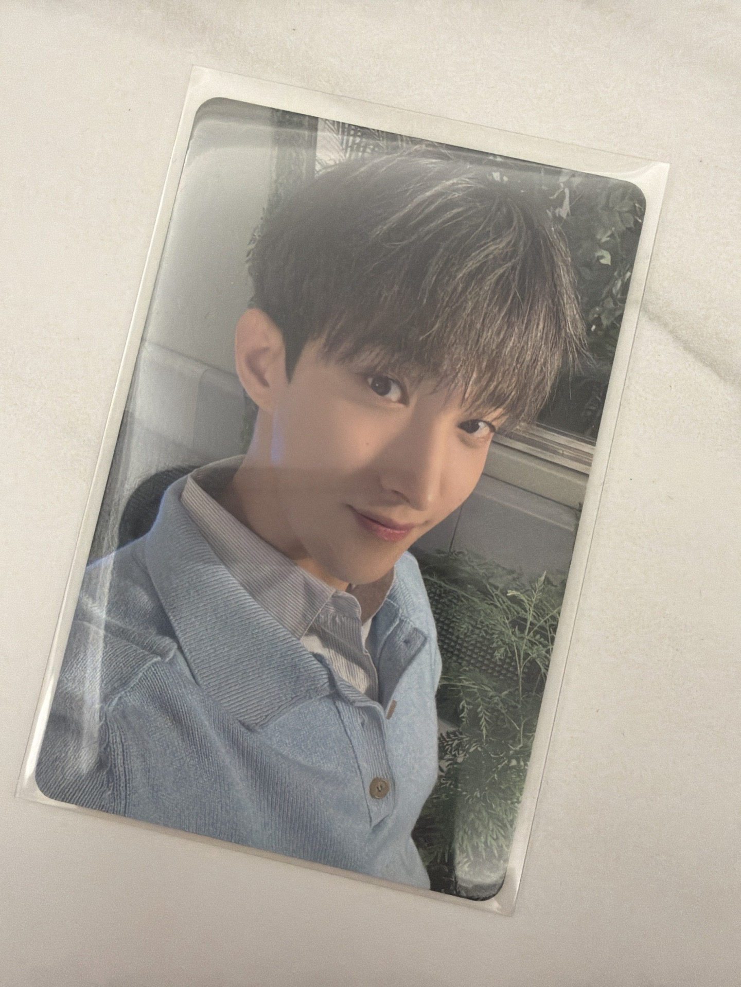 碩 消費期限 塔店特典