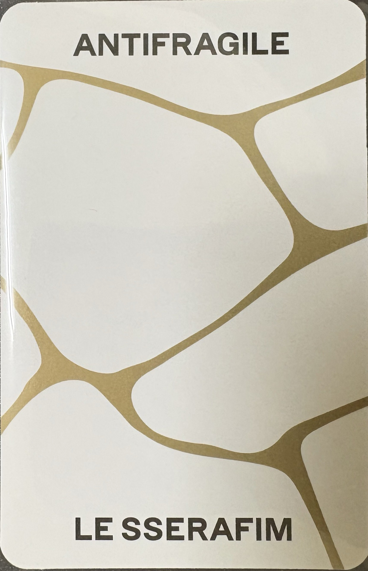 LSF 迷二 ANTI 專卡 許允真