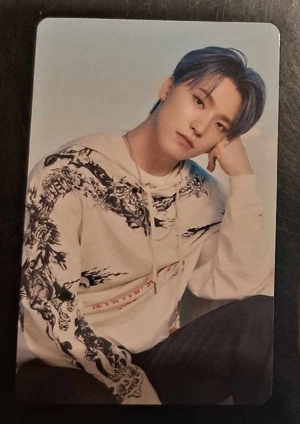 燦 2022 D社卡冊卡