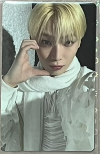 正二後續 wvs特典禹